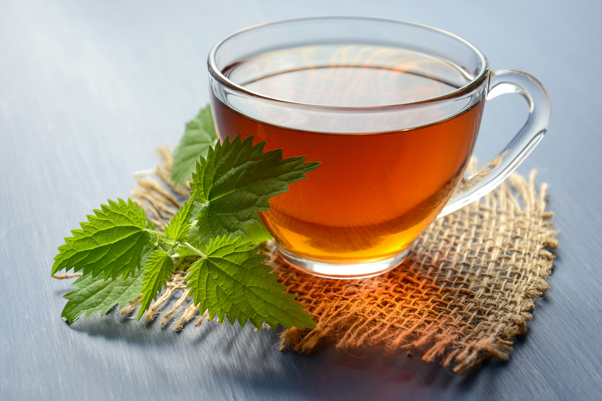 Quais os benefícios do chá de folha de laranja? Saiba o porque consumir diariamente - Fonte/Canva