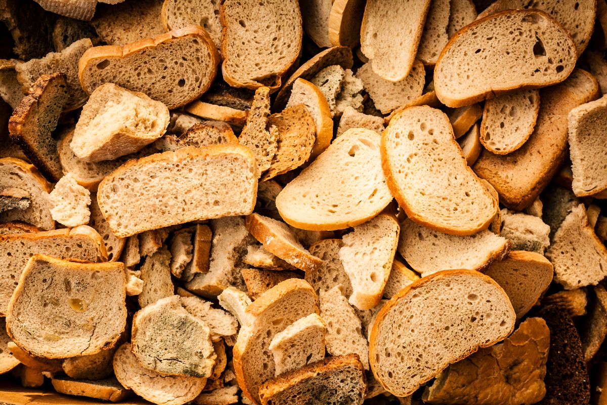 Veja o que fazer com o pão velho: depois dessa receita você nunca mais jogará o pão no lixo( foto: reprodução/canva )