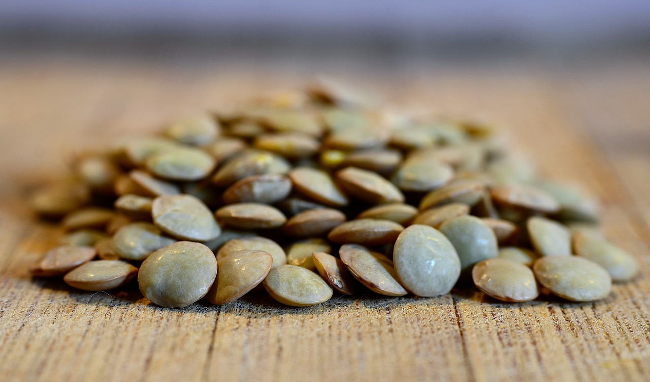 Como plantar lentilhas em vasos: dicas simples e barata para aprender a cultivar