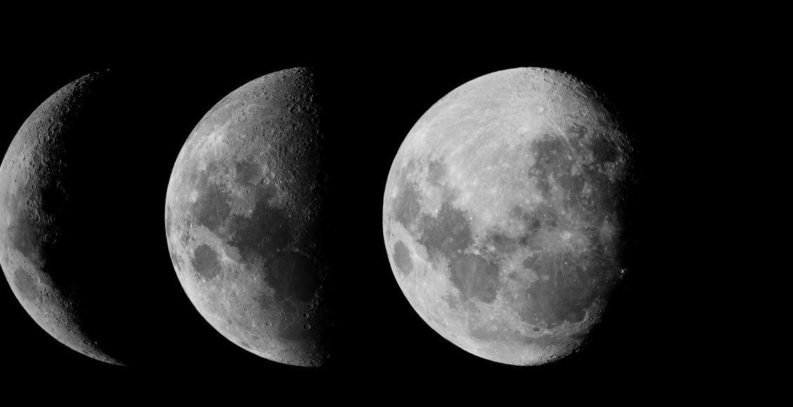 Fases da lua para se plantar: dicas fundamentais para o seu sucesso