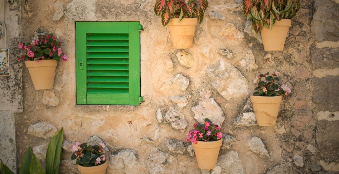 Vasos meia lua para jardim vertical: um jeito novo de cultivar plantas no quintal de casa