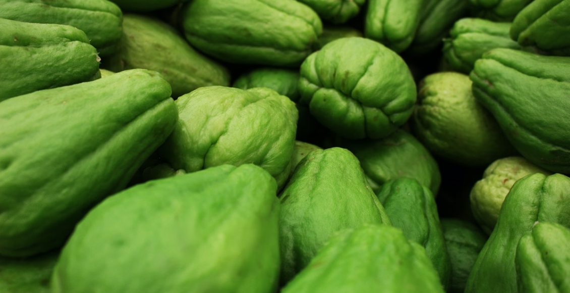 Como plantar chuchu na terra: não deixe de conferir essas dicas maravilhosas