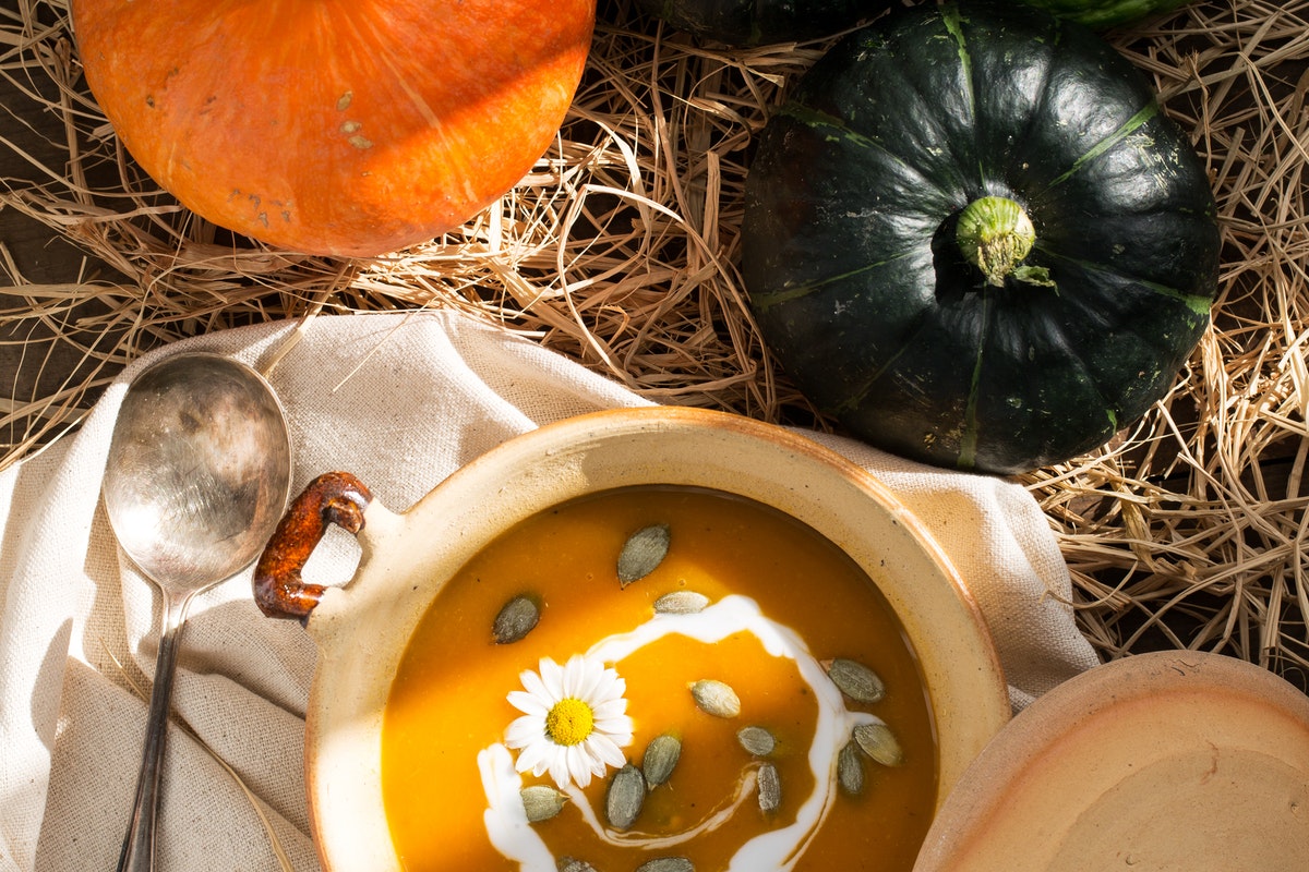 Como plantar abóbora cabotiá: veja o macete que descobrimos