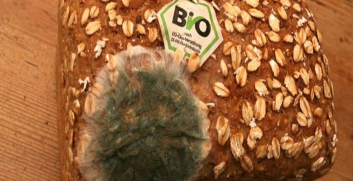 Comer pão mofado é seguro? Tem como reaproveitar e não jogar fora? - Fonte: Pixabay