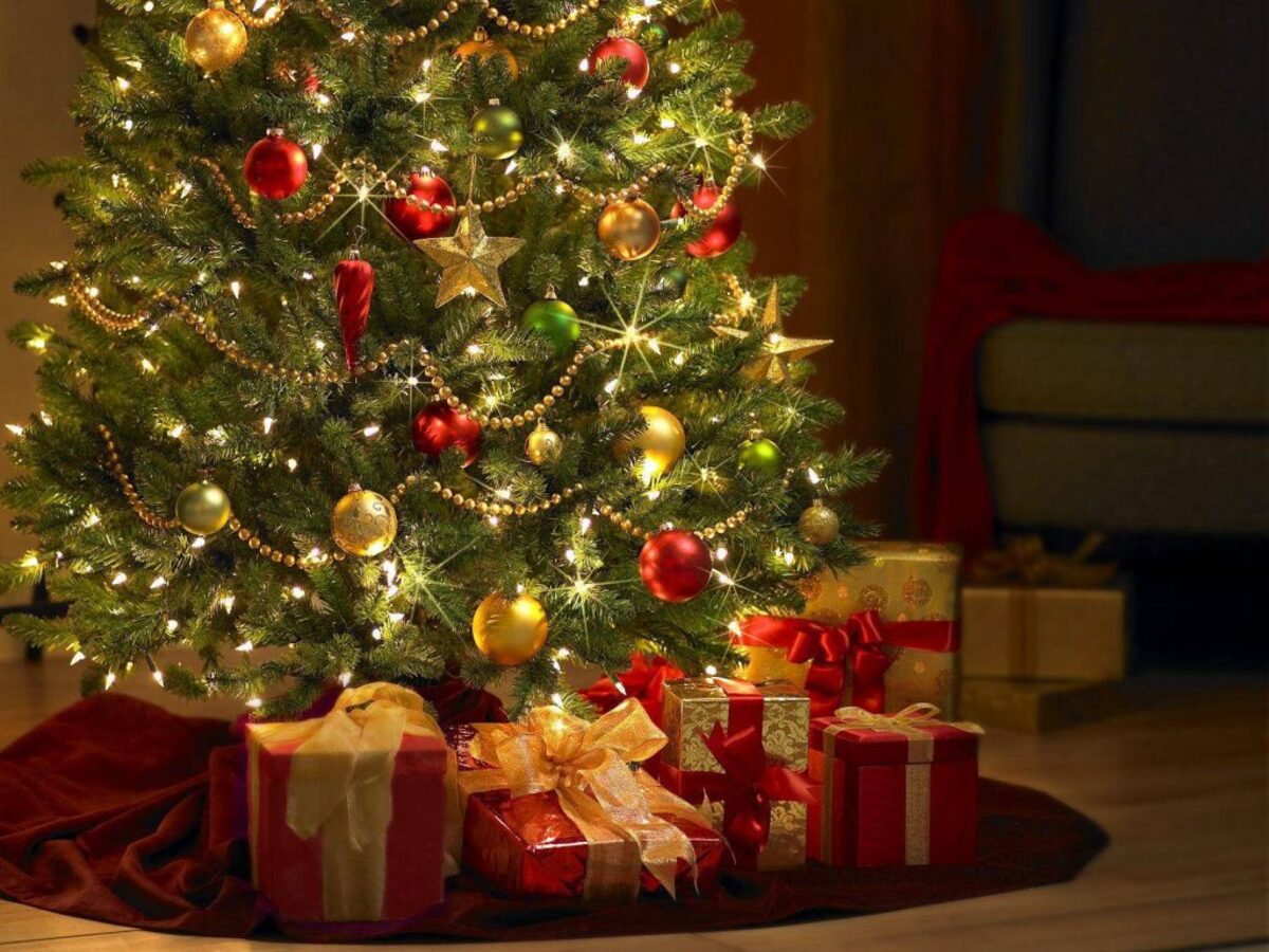 Qual é o dia de desmontar árvore de natal? Descubra aqui com a gente. Fonte: Pixabay
