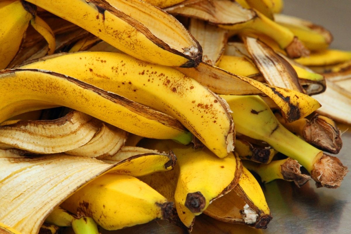 Casca de banana - Reprodução Canva (2)