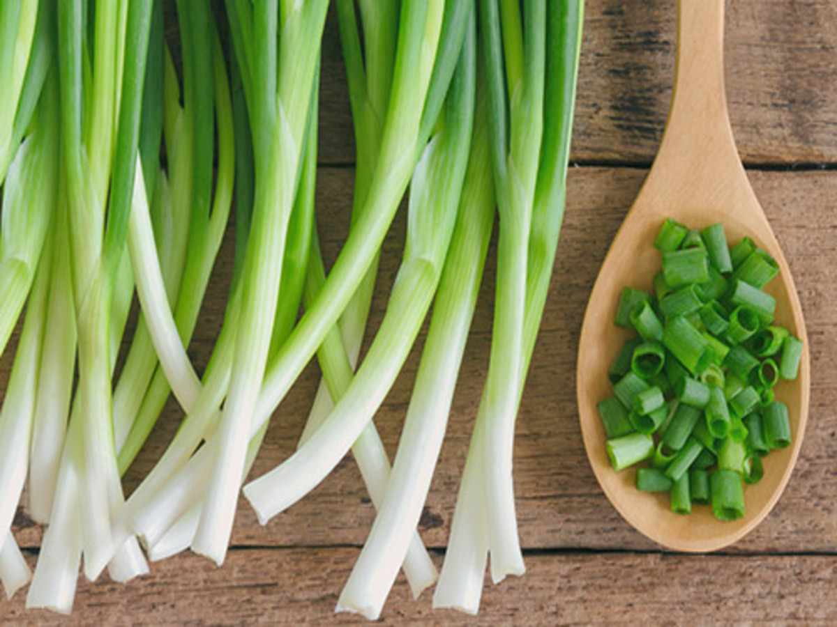 Como plantar cebolinha verde? Veja dicas essenciais para fazer em casa. Fonte: Pixabay