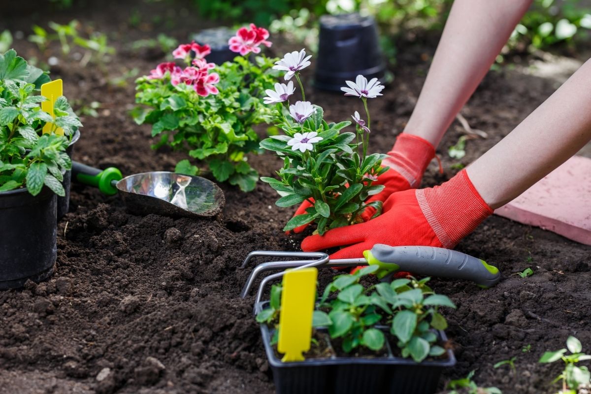 Como limpar o seu jardim de forma rápida e simples - foto canva