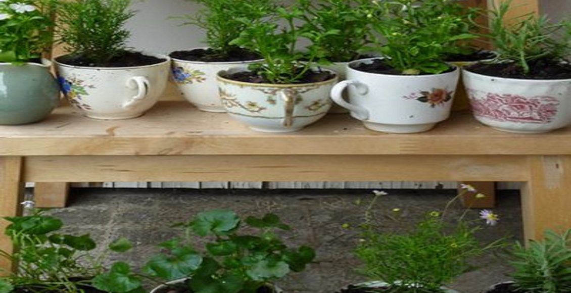 Horta de temperos, cultive temperos frescos em um espaço reduzido - google