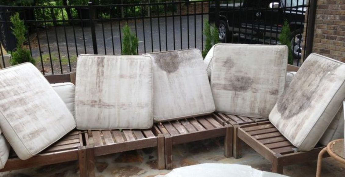 Mofo no sofá: como limpar com receita caseira e impedir que volte? - Canva