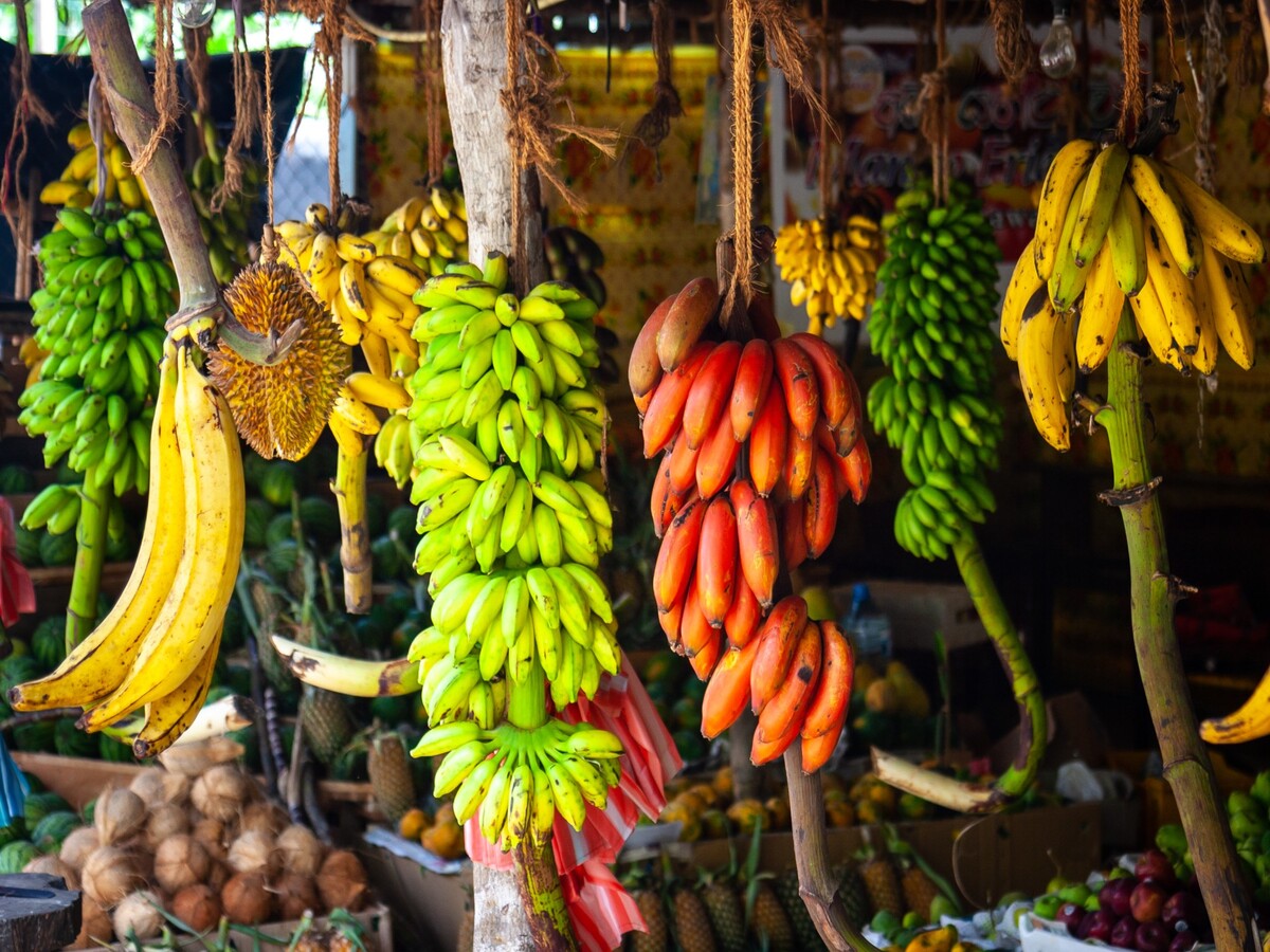 Dá pra plantar banana a partir da fruta? Veja como é feito o plantio - Fonte: Pixabay