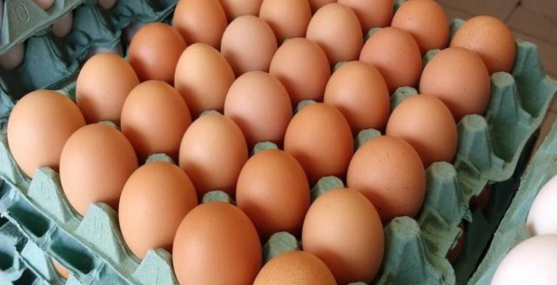 Como substituir o fertilizante químico por itens caseiros? Veja dicas - Fonte: Pixabay