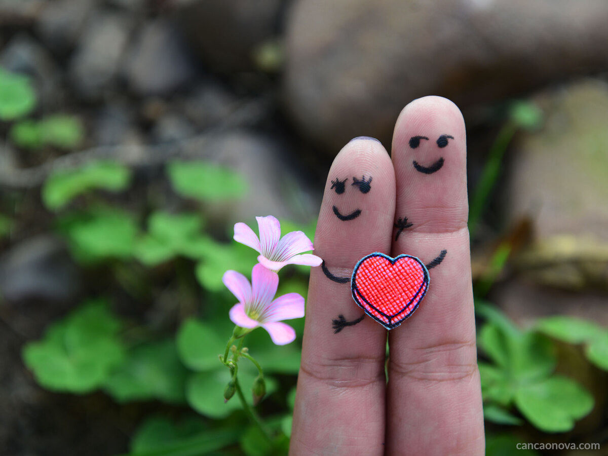 Casas e terrenos de herança entram para a divisão de bens da União Estável? - Fonte: pixabay