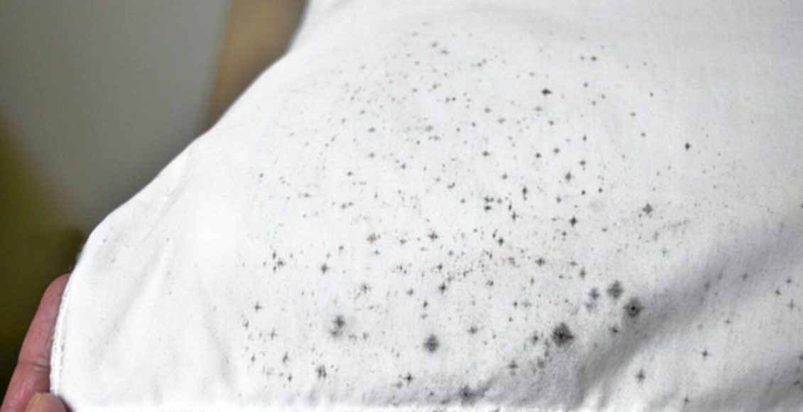 Mofo na toalha: causas e como remover em poucos passos - Fonte: Pixabay