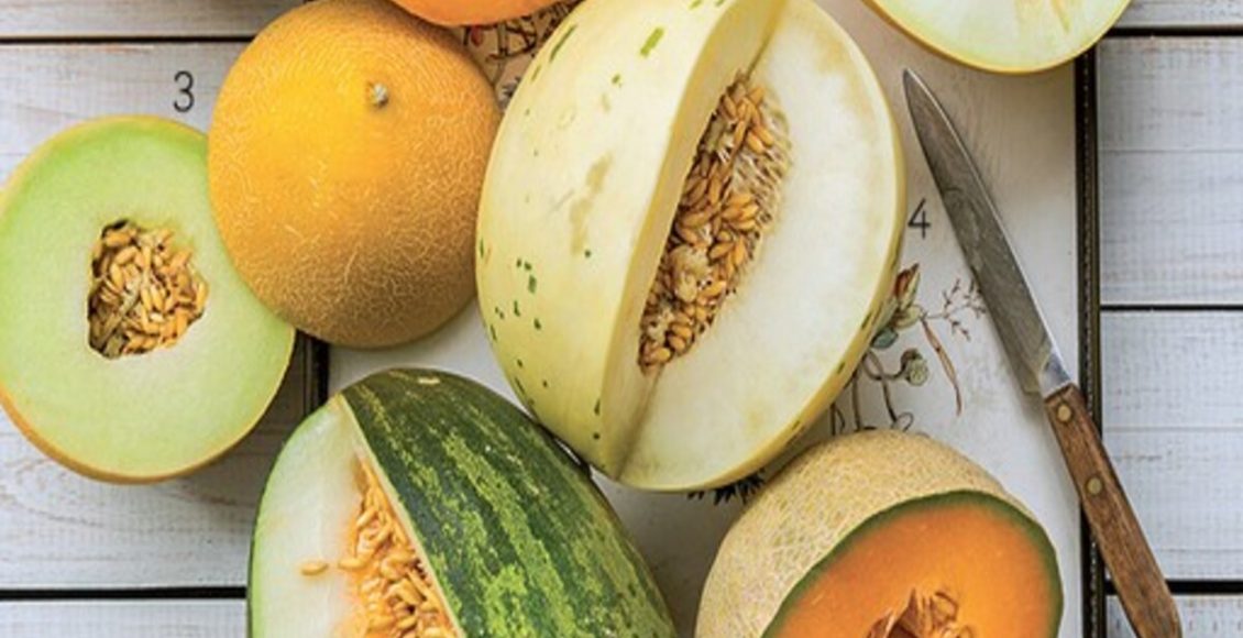 O que plantar em fevereiro? Veja dicas para uma boa safra aqui! - Fonte: Pixabay