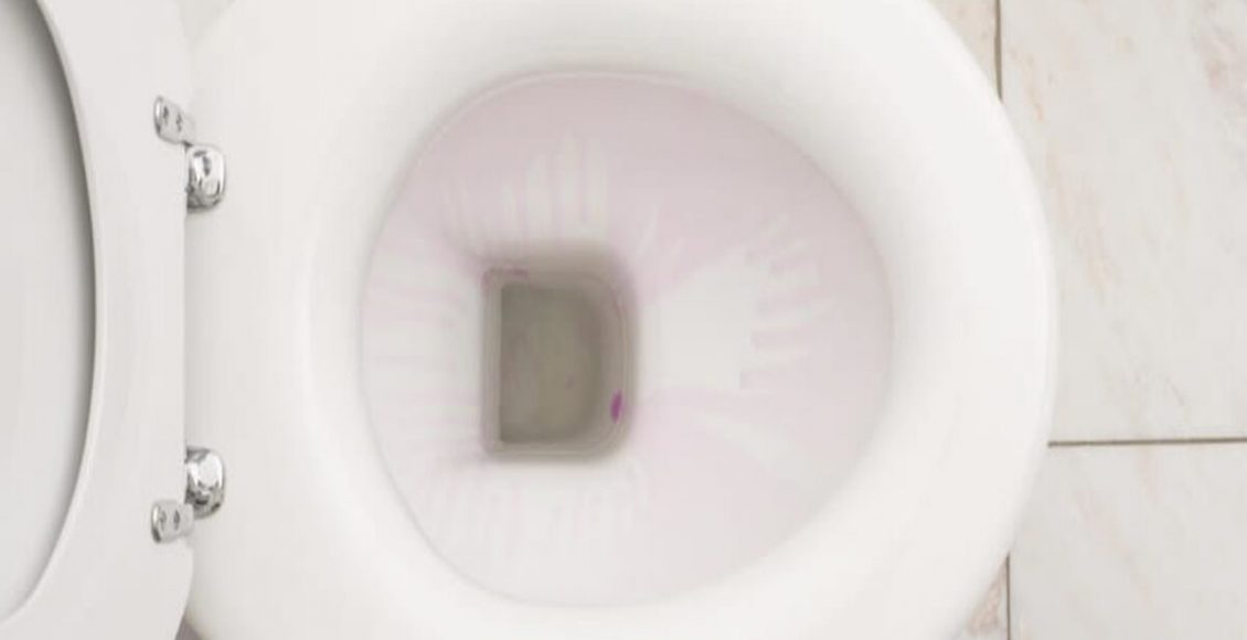 Vaso sanitário entupido: o que pode ser e como acabar com o problema - Fonte: Pixabay