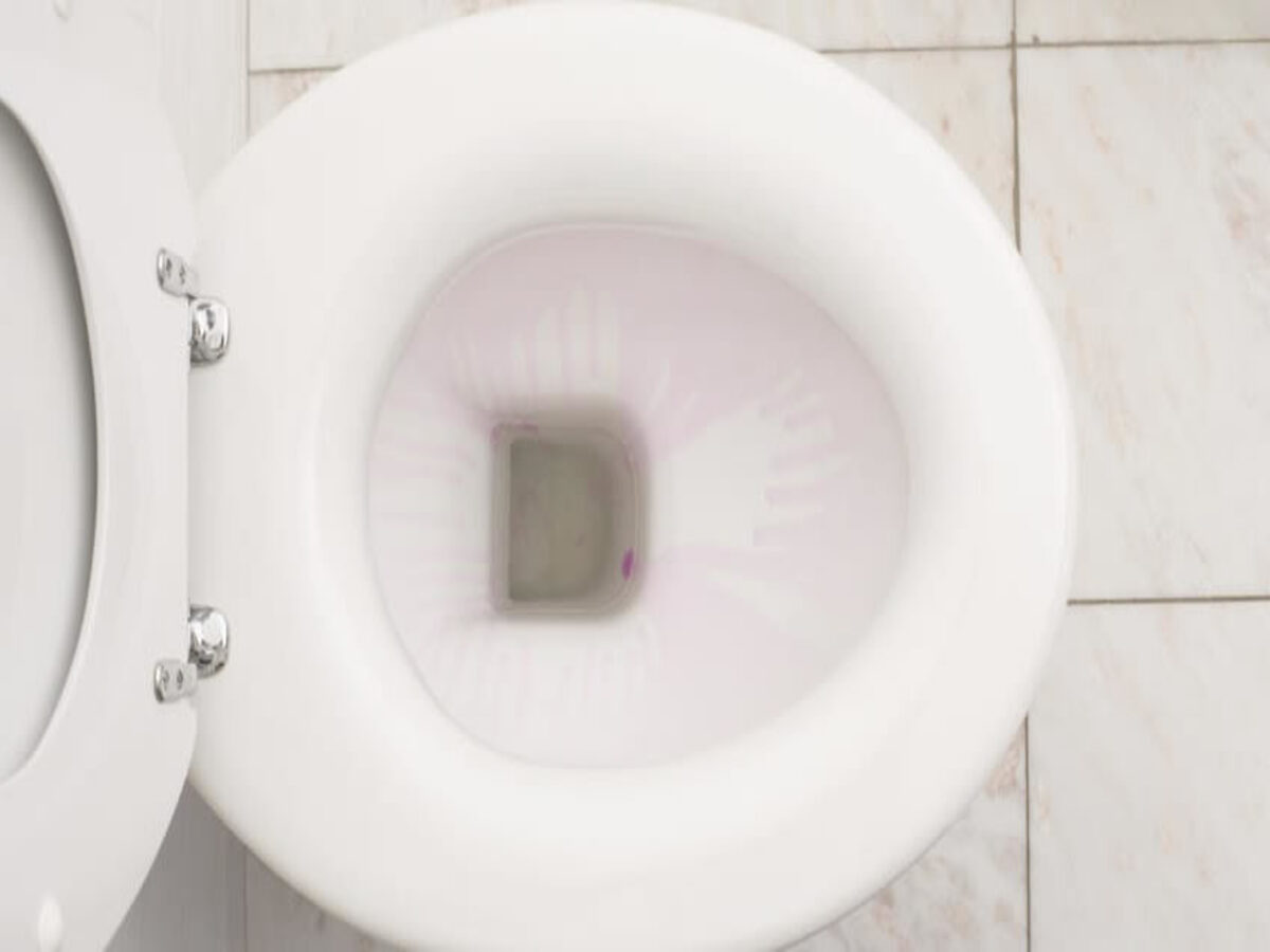 Vaso sanitário entupido: o que pode ser e como acabar com o problema - Fonte: Pixabay