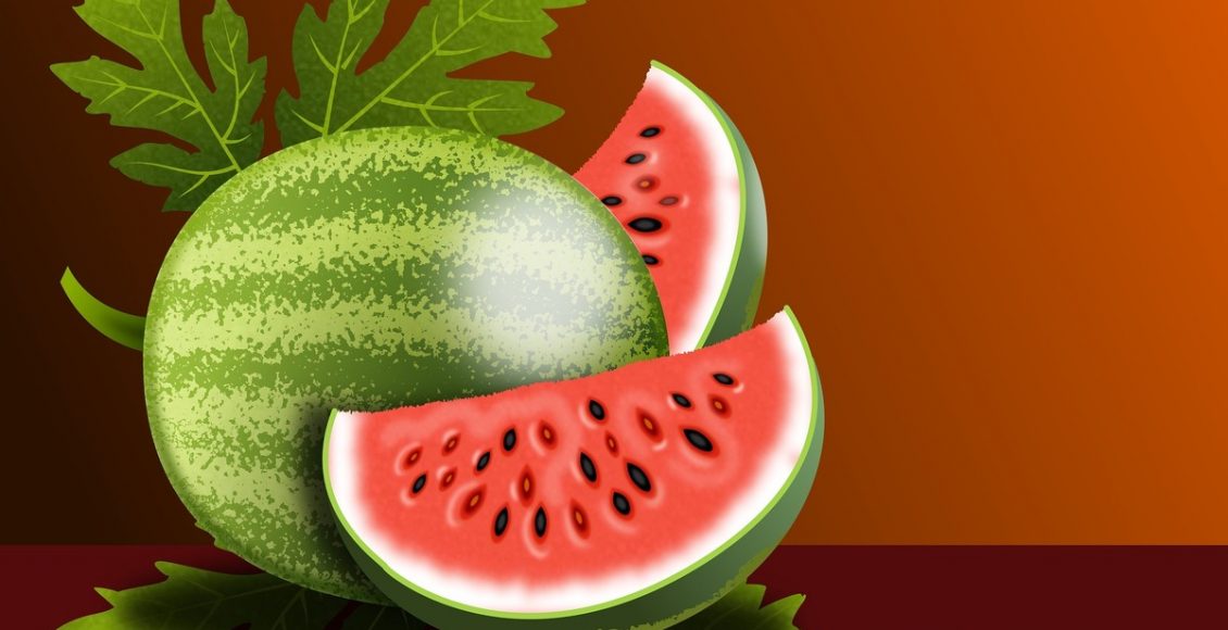 Horta em casa: veja dicas de como criar uma sem gastar muito - Fonte Pixabay