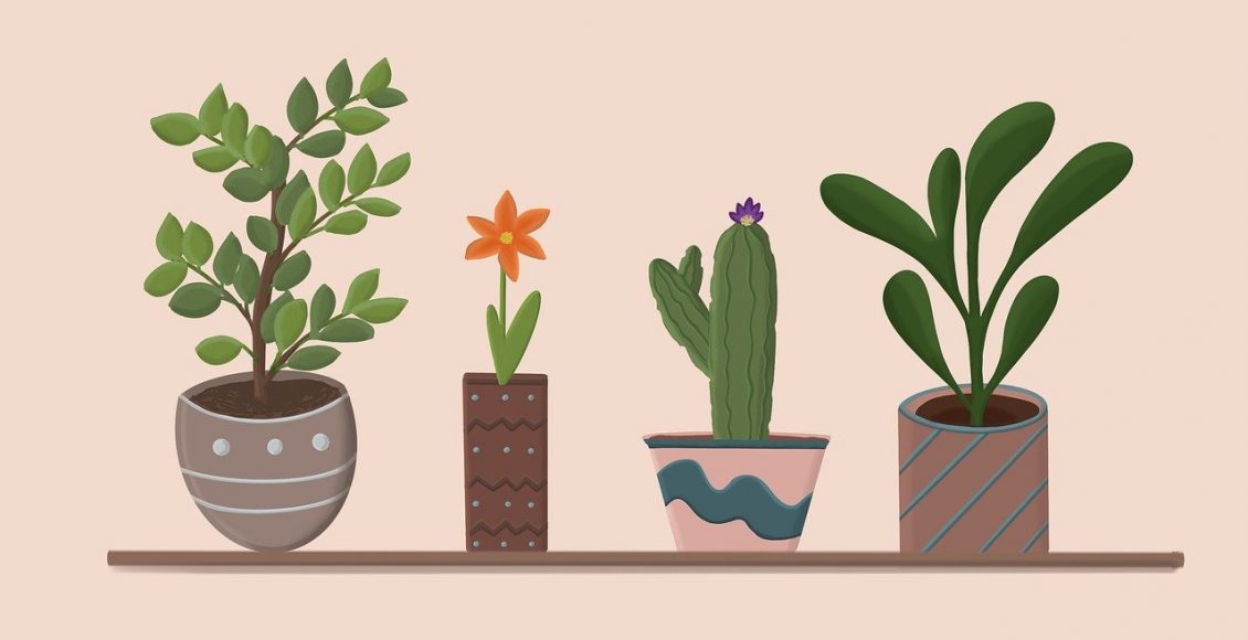 5 plantas para melhorar a energia da sua casa; confira quais são - Reprodução Pixabay