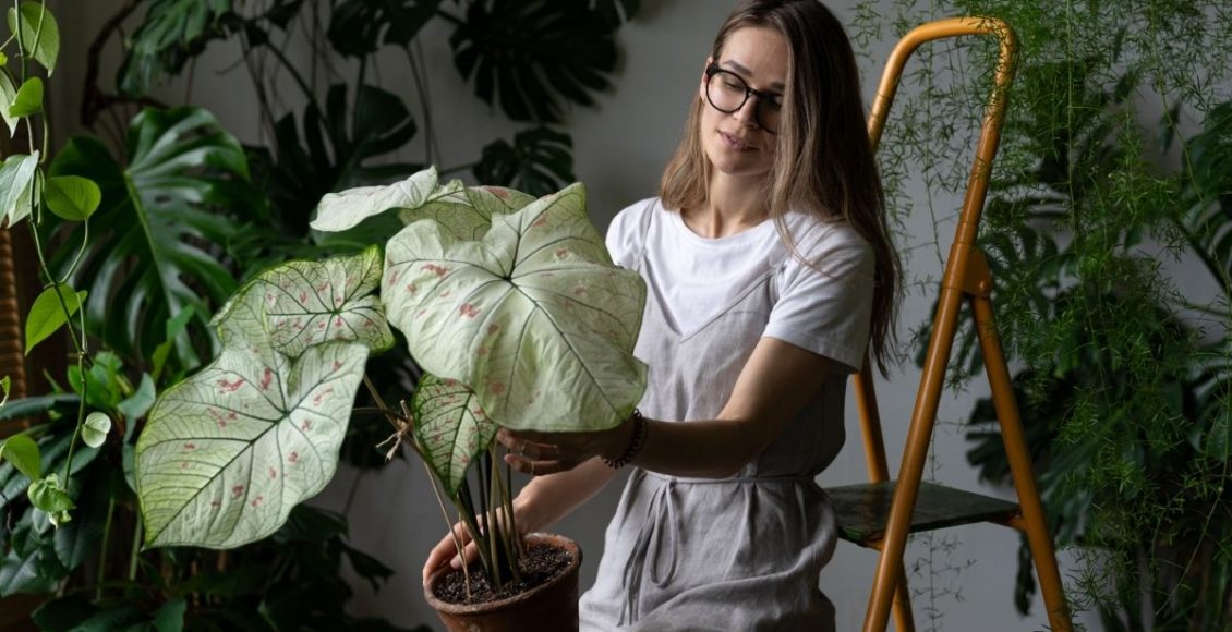 Conheça o Urban Garden, a nova tendência de paisagismo de 2022 - reprodução Canva