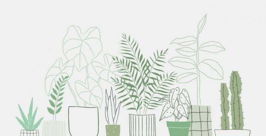 Plantas da moda; confira quais as tendências para inovar o seu jardim - Reprodução Freepik