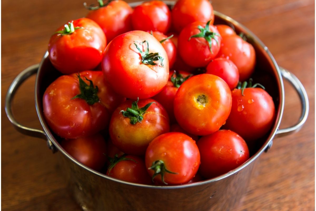 Plante tomates e aprenda a fazer uma receita de ketchup caseiro extravagante - Reprodução Canva (2)