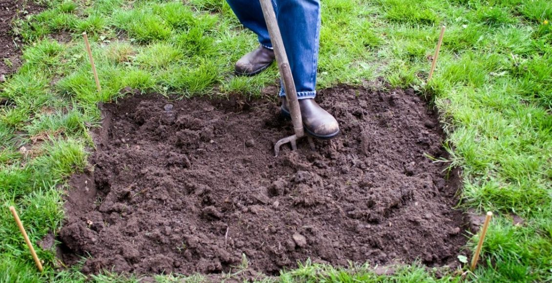 Você sabe qual é a terra certa para o seu vaso Aprenda sobre os substratos e as terras vegetais - Reprodução Canva