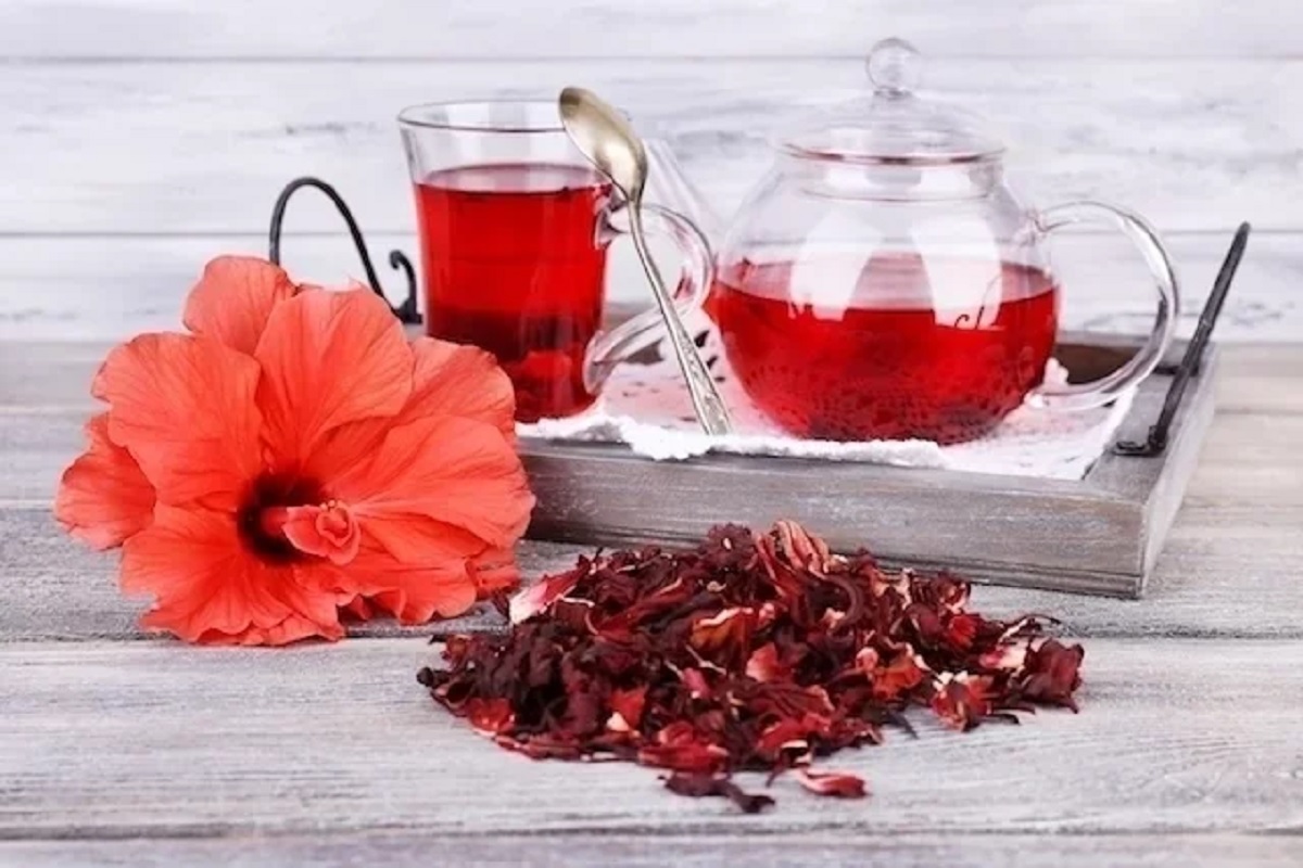 Chá de hibisco o que é e como tomar (Foto: Reprodução/Canva)