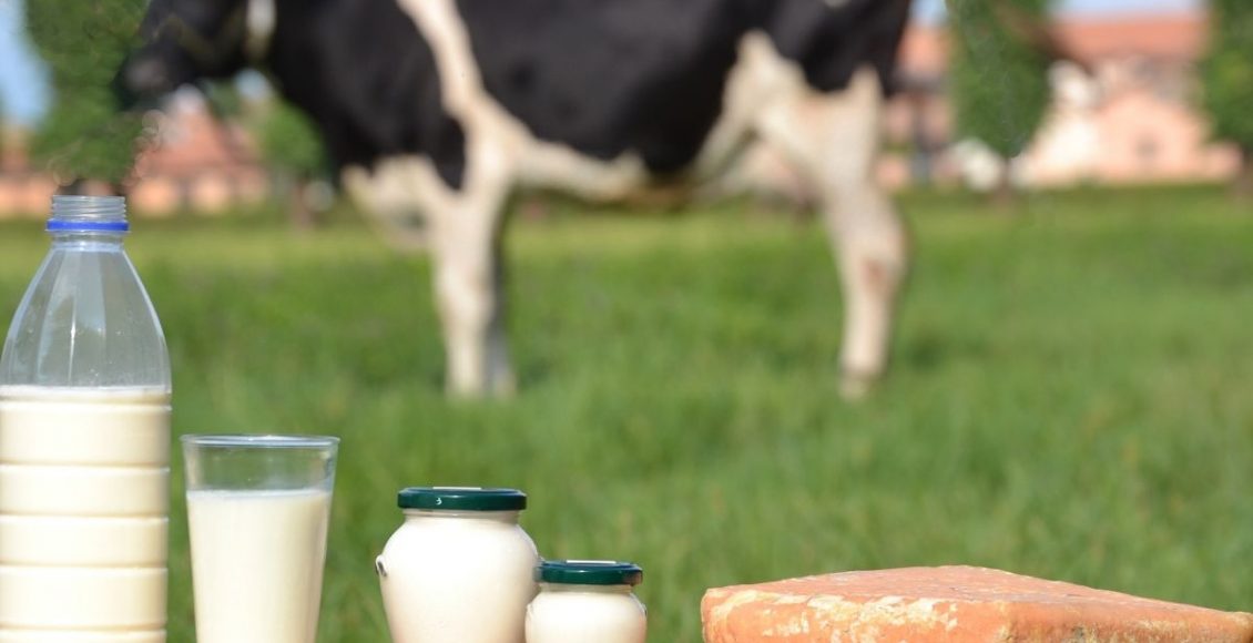 Leite, faz bem para saúde? Confira aqui os riscos e benefícios (25). Reprodução: Canva.