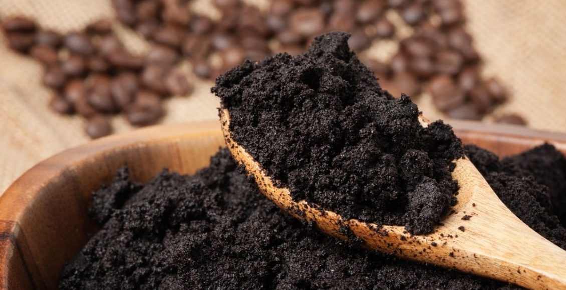 Borra de café utilize esse adubo nas suas plantas da maneira correta foto reprodução canva