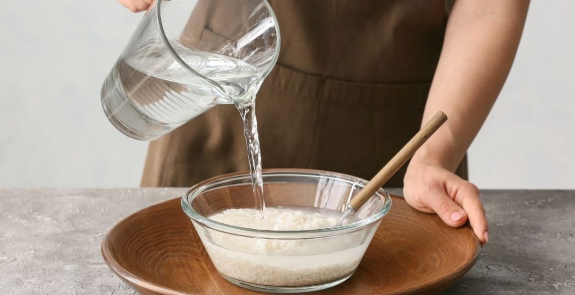 Colocar água de arroz no seu vaso Entenda os possíveis benefícios para sua planta - Reprodução Canva (2)