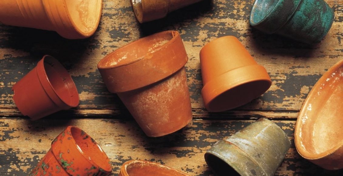 Como escolher o vaso ideal na hora de plantar As 3 melhores dicas para quem está começando - Reprodução Canva (2)