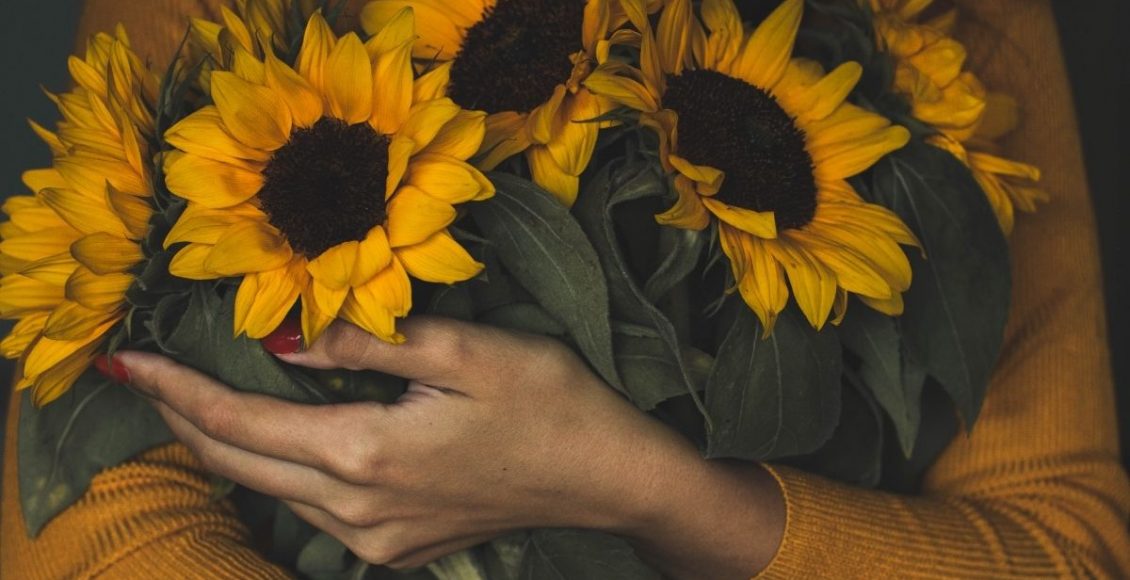 Como cuidar de girassol - reprodução: Canva