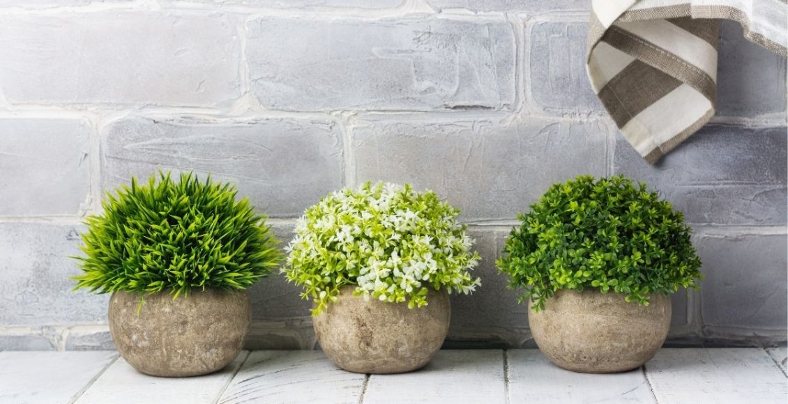 Plantas artificiais - reprodução: Canva