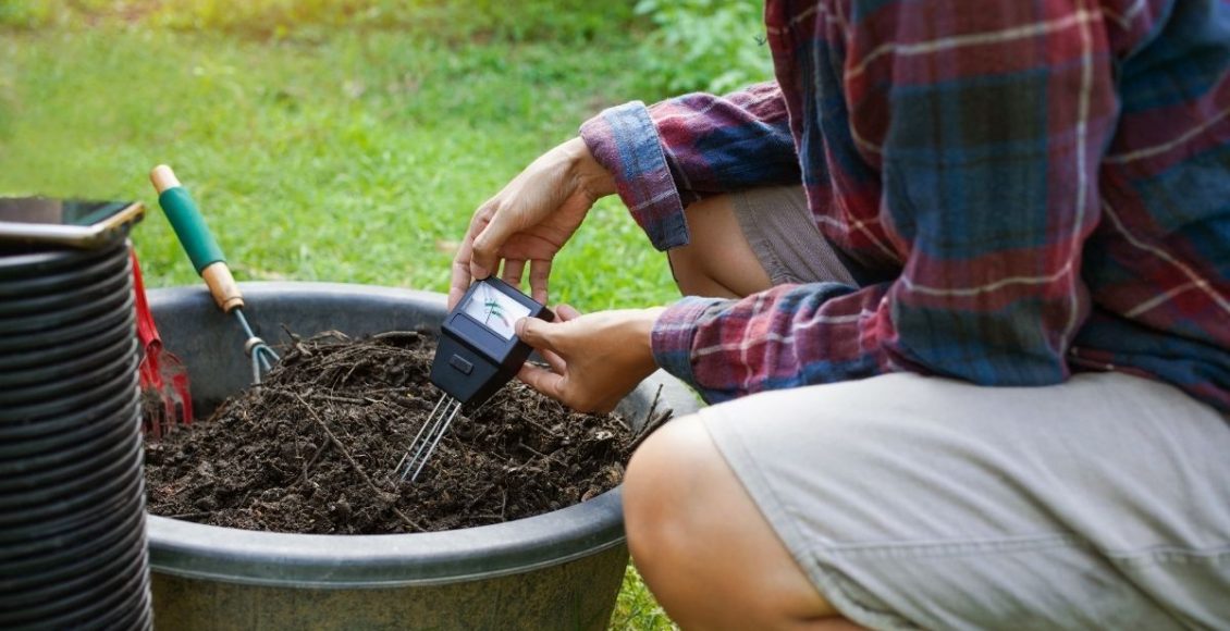 Entendendo o PH de uma vez por todas! Como a acidez do solo influencia no cultivo - Reprodução Canva (2)