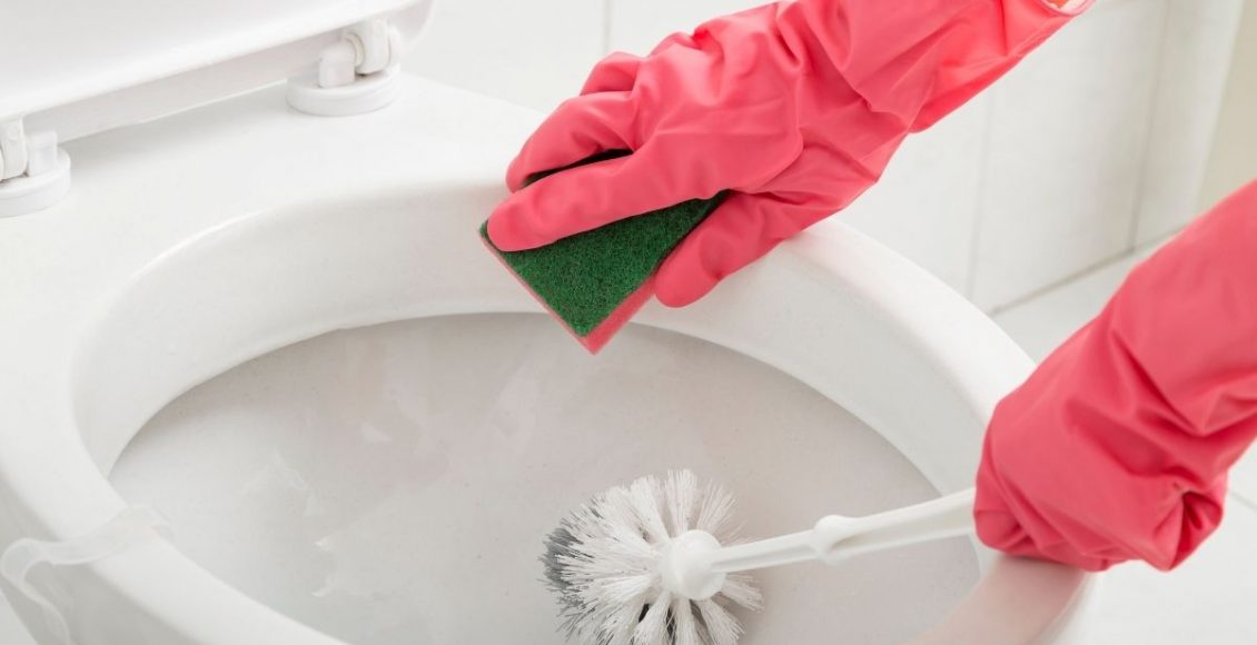 Escova Sanitária - Reprodução Canva