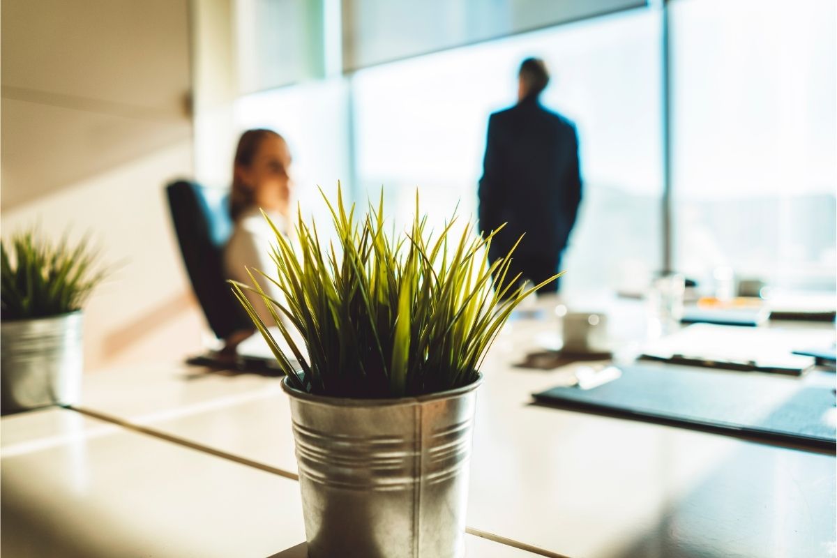 Está se sentindo estressado O que a ciência já sabe sobre as plantas de escritório - Reprodução Canva (2)