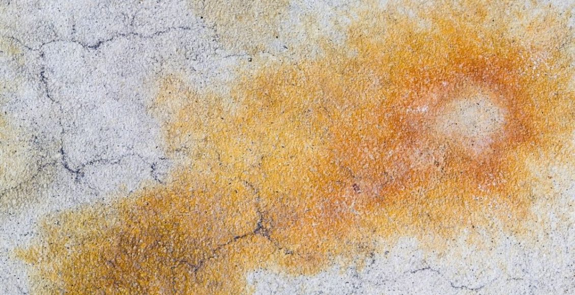 Mancha de Ferrugem - Reprodução Canva