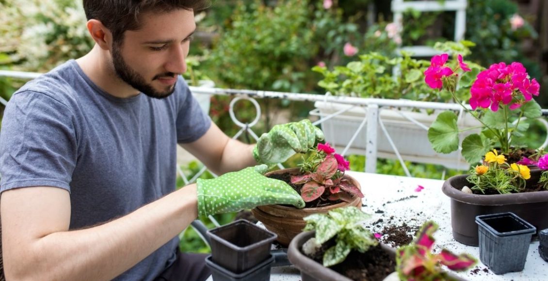 Não faça isso! Os 3 maiores erros cometidos por quem tem horta em casa - Reprodução Canva (2)