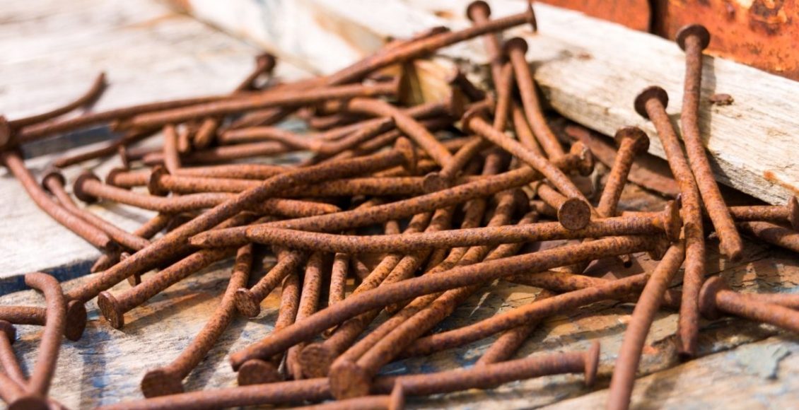 Pregos nas plantas Entenda o que essa técnica pode trazer para seu cultivo - Reprodução Canva