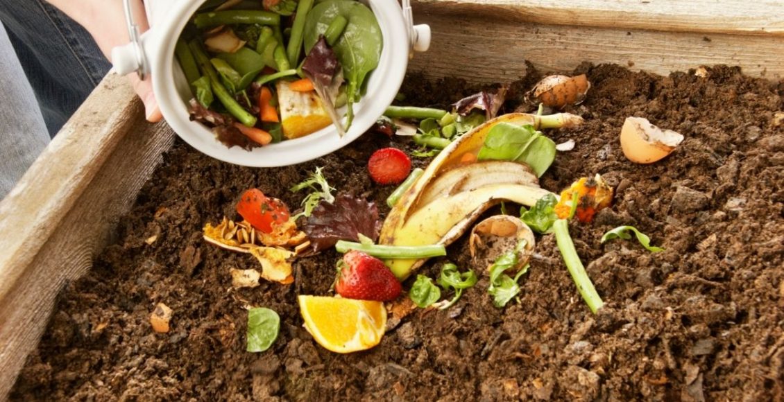 Restos de comida diretamente sobre a terra O que não fazer na hora de plantar - Reprodução Canva