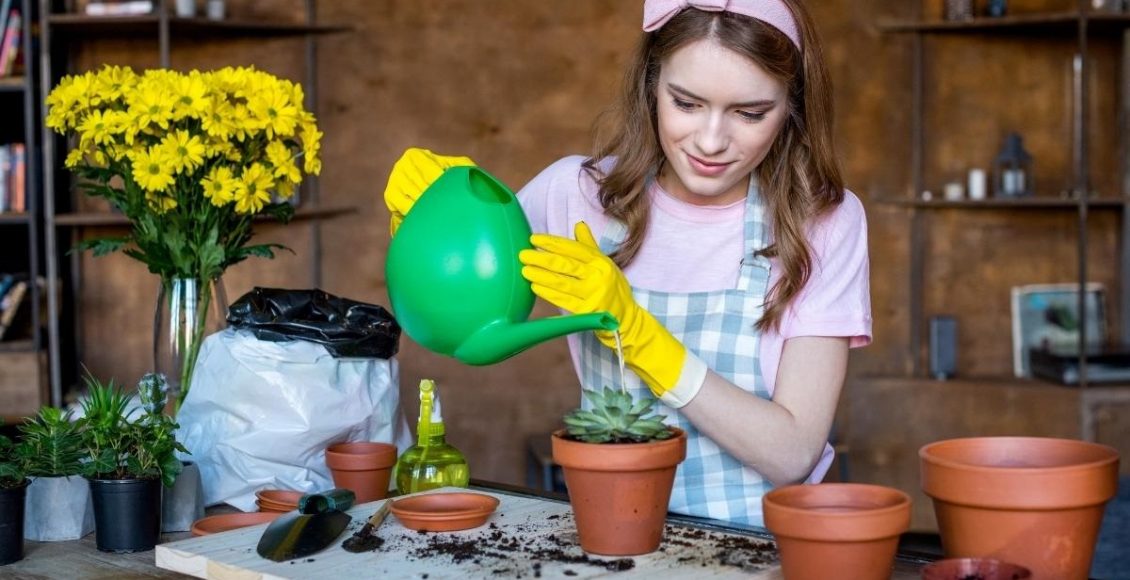 Saiba como aguar as plantas corretamente para não errar mais foto reprodução canva