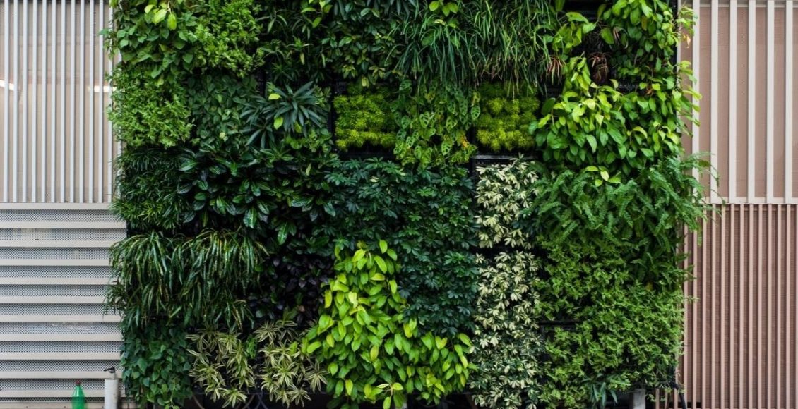 Veja aqui 6 formas de utilizar o jardim vertical na sua casa foto reprodução canva