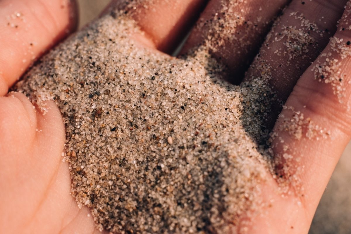 Você conhece a função da areia na terra do seu vaso Entenda porque ela é usada no cultivo - Reprodução Canva (2)