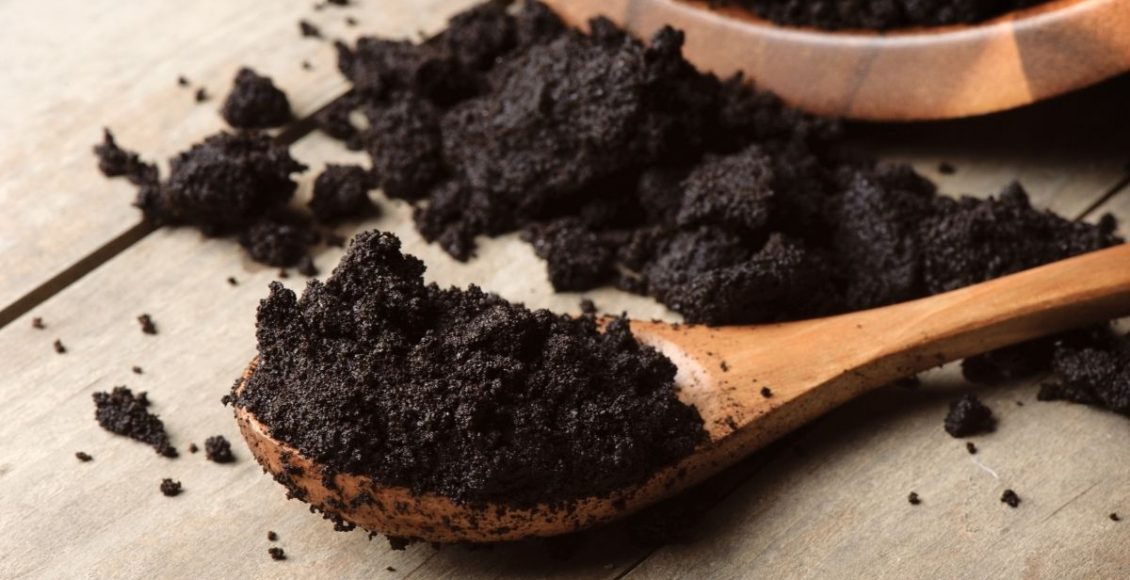 Você já usou borra de café para adubar Descubra os benefícios desse ingrediente para o solo - Reprodução Canva