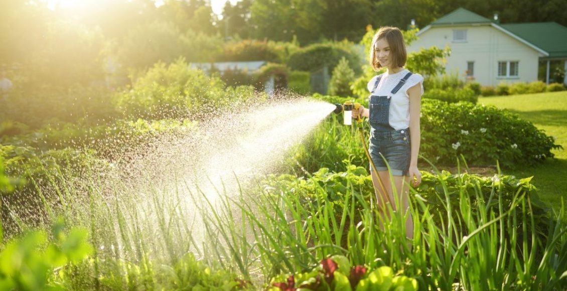 Você sabe qual é o horário ideal para regar suas plantas? 3 dicas para acertar - Reprodução Canva (2)