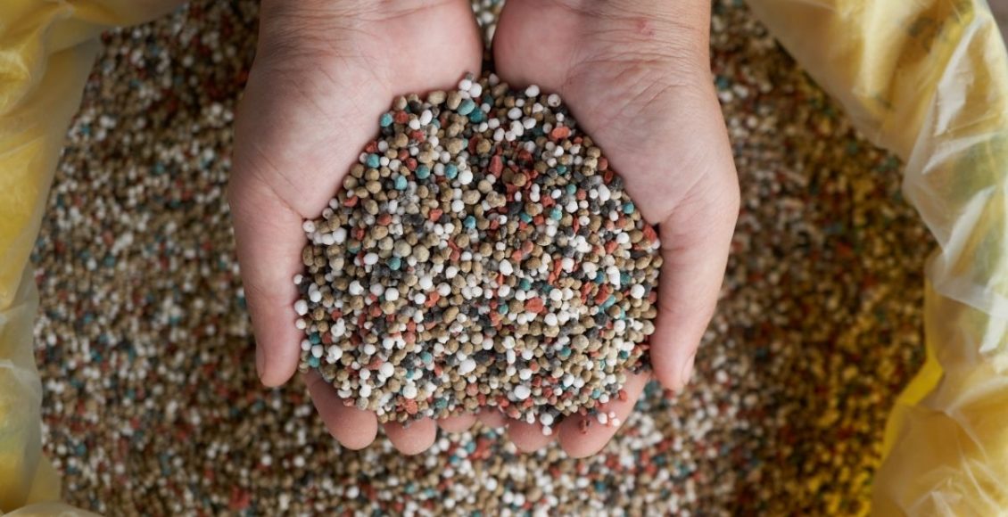 Você sabe usar o adubo mais popular do mercado Conheça o NPK - Reprodução Canva (2)