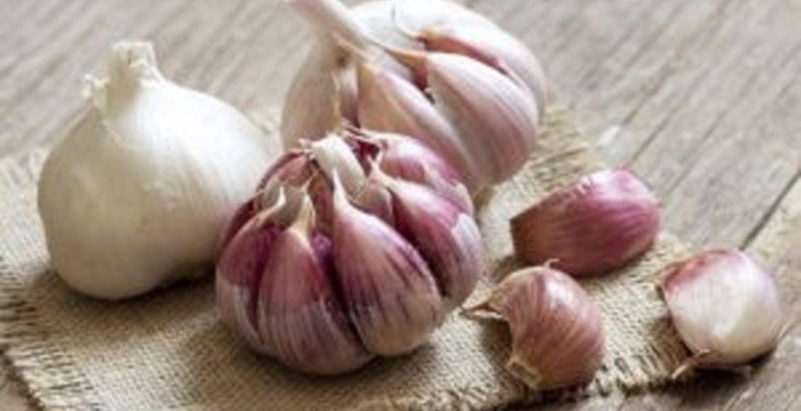 Tempero de alho (Foto: Freepik)