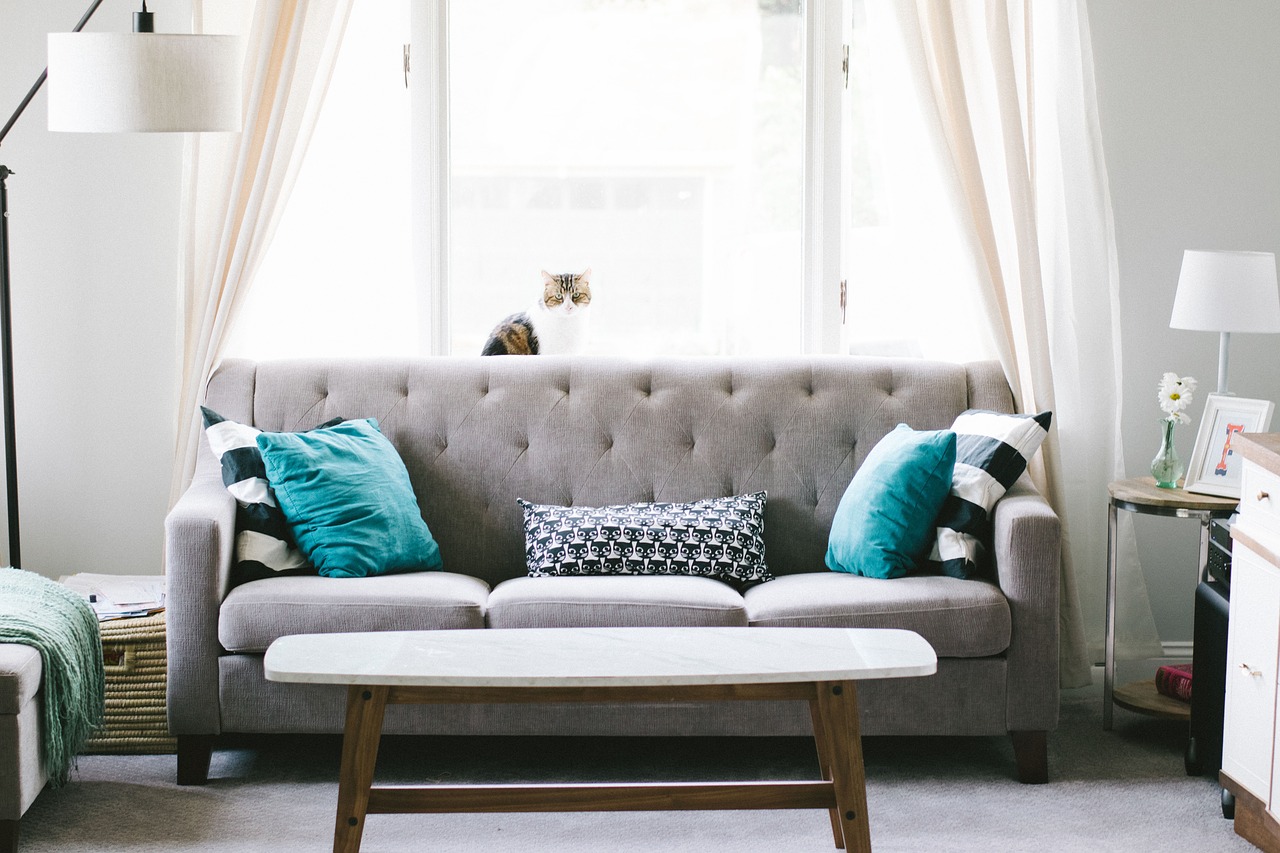 Limpar sofá com receita caseira: veja uma receita caseira para deixar seu sofá novinho- Pixabay