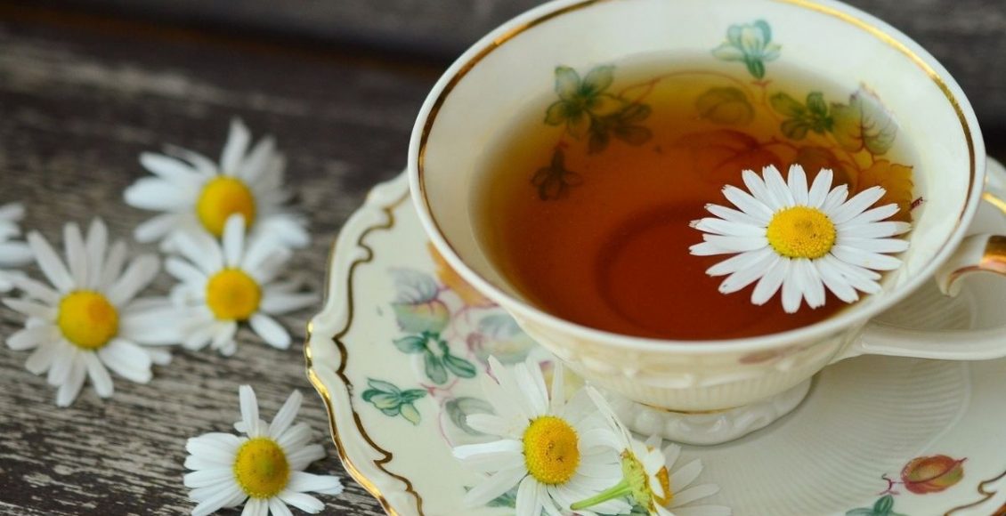 Plantas calmantes: 3 para combater a ansiedade e o estresse naturalmente - pixabay